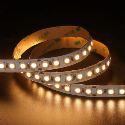 12V 24V Jagd Soft Outdoor Silicone Smart Light Smd Flexible Led Neon Streifenlicht 10M