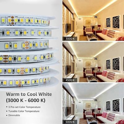 Einstellbare Farbtemperatur LED Streifenlicht 120 LEDs/m Doppelfarbe 8MM Nicht wasserdicht
