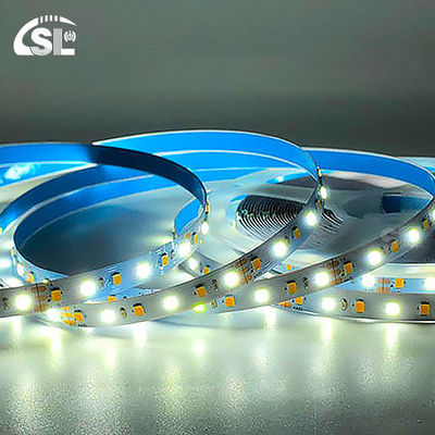 Doppelfarbige LED-Lichtstreifen SMD 2835 120D 8mm 1200-1600LM 2700K-6500K 35Kupfer Ra70