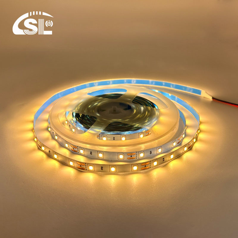 Flexible DC12V24V 8mm10mm 60leds 3000K Warm White Die-Board SMD2835 für Hotelbeleuchtung
