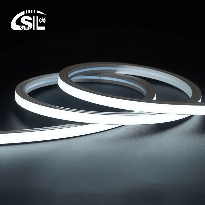 110V 127V 220V 260V Außen IP65 Wasserdicht 120LEDs/m SMD 2835 Led Strip Light OEM ODM