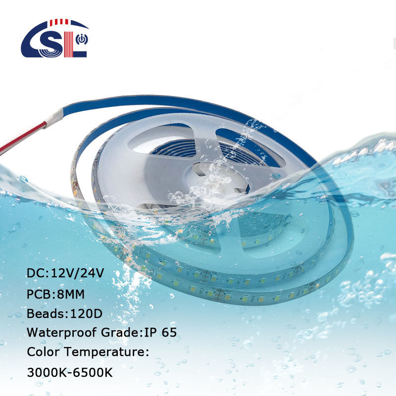 10mm 240Leds 3000K-6500K CCT Wasserdicht ip65 Doppelfarbe SMD2835 Led Streifenlicht 12v24v