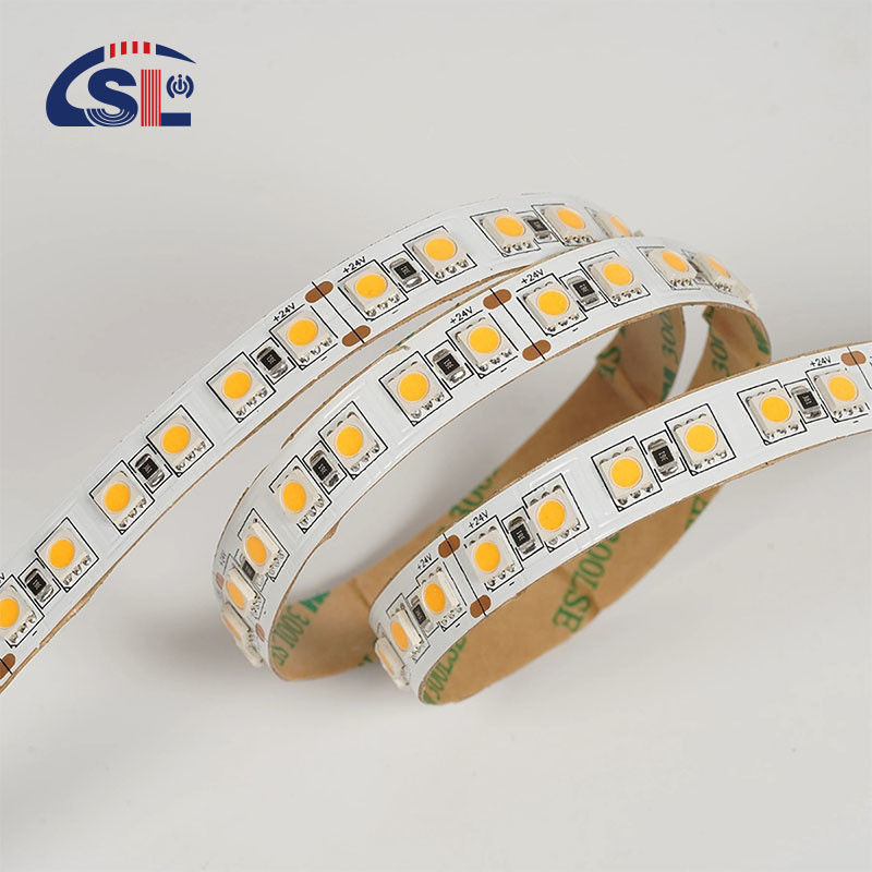 12V 24V Jagd Soft Outdoor Silicone Smart Light Smd Flexible Led Neon Streifenlicht 10M